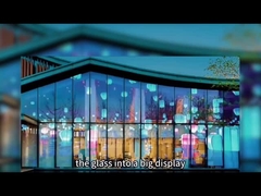 Full Color LED Display Video Wand Doorzichtige Film LED Scherm